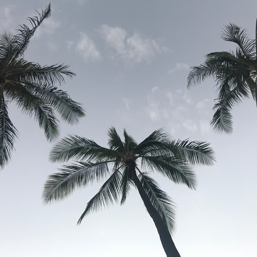 Meet your Posher, Ethi_Cali